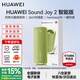 華為Sound Joy 2智能音箱第二代便攜式藍牙音響電腦桌面戶(hù)外音箱立體聲低音炮語(yǔ)音AI小藝超長(cháng)續航 Sound Joy2音箱-智能版-向新綠