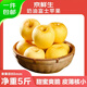 京鮮生山東奶油富士蘋(píng)果凈重5斤單果200g新鮮水果 源頭直發(fā)包郵