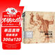 500年大師經(jīng)典《素描人體》書(shū)籍西方大師繪畫(huà)藝術(shù)造型美術(shù)米開(kāi)朗基羅達芬奇魯本斯俄羅斯畫(huà)冊集技法臨摹教材