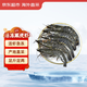 京東超市 海外直采活凍黑虎蝦2斤(40-50規(guī)格)自營(yíng)海鮮 燒烤火鍋食材做蝦滑