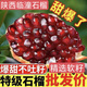 順豐包郵陜西西安臨潼大紅甜軟籽石榴大果新鮮現摘當季孕婦水果 臨潼純甜軟籽石榴9斤左右優(yōu)選大果/送禮裝 順豐包郵
