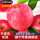 靜寧蘋(píng)果 【順豐到家】甘肅紅富士蘋(píng)果水果 新鮮應季靜寧蘋(píng)果 凈重4斤70-75mm小果約12枚