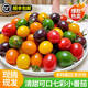 順豐山東七彩小番茄5斤新鮮現摘小柿子清甜多汁圣女果混合裝水果L 5斤【紅+黃+綠+迷彩+白+黑+橙】隨機發(fā)順豐