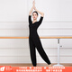 貝茲曼形體服舞蹈練功服藝考現代舞服裝瑜伽服女套裝莫代爾新款修身顯瘦 單V領(lǐng)中袖哈倫褲套裝 XL （110斤-120斤）