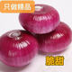 李小略小洋蔥專賣】新鮮扁蔥經(jīng)農(nóng)殘檢測抑制率達(dá)標(biāo)產(chǎn)地直發(fā)正當(dāng)季 精選洋蔥1斤【小果】扁試吃1斤