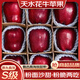 譯優(yōu)農甘肅天水花牛蘋(píng)果新鮮當季現摘一級蛇紅果粉面刮泥圣誕平安果送禮 帶箱9.5-10斤大果【手工精選裝】