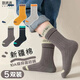 棉滿(mǎn)滿(mǎn)兒童襪中筒襪新疆棉抗菌防螨中大童學(xué)生男寶寶棉襪秋冬季5雙裝