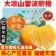 雷波臍橙【順豐】四川大涼山純甜無(wú)酸當季橙子水果 10斤金鉆果  15-18個(gè) 精選果
