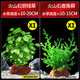 瘋狂水草火山石水草造景 直接入缸凈化水質(zhì) 銅錢(qián)草+鹿角蘚 源頭直發(fā)包郵