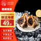 小海故事 鮮活海螺 凈重2斤 15-20只/斤 生鮮海鮮貝類(lèi) 源頭直發(fā)