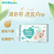 幫寶適（Pampers）清新幫小包裝尿褲尿不濕 紙尿褲S60片