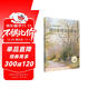 西方繪畫(huà)技法經(jīng)典教程·用水彩技法畫(huà)樹(shù)木