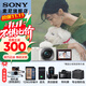 索尼（SONY）ZV-E10K APS-C半畫(huà)微單 ZV-E10  vlog直播4K視頻側翻式ZV-E10L/zv-e10/ZV-E10K【國家補貼】 白色L套機【128G+皮套+D2+充+清+屏】 
