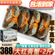 【活鮮】?；畹郊?三門(mén)縣青蟹鮮活 大螃蟹鮮活蟹類(lèi)母蟹紅膏蟹肉蟹 大紅膏2斤共3-4只