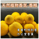 江蘇香櫞果清供佛果香櫞祛味黃香圓觀(guān)賞除味聞香搭配佛手擺放香園 5斤中果(5兩左右/個(gè))