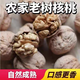 陜西秦嶺大山今年新山核桃老品種油香核桃老樹(shù)薄皮核桃裝原味 野生山核桃【5斤】中果