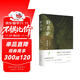 野菩薩 黎紫書(shū)短篇小說(shuō)精選集 特別收入全新短篇《?！?王德威傾力推薦
