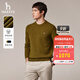 哈吉斯（HAZZYS）男裝 秋冬款羊毛衫男簡約素凈圓領(lǐng)針織男毛衣ABYZD0CCX57 芥末黃色MT M （170/92A 46）