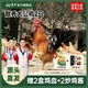 楊博士【大公雞】安徽皖南深山土雞生鮮整只2.6斤散養走地雞新鮮雞肉 2只大公雞（凈重5.2斤）