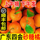 冠棠正宗廣東四會(huì )沙糖桔現發(fā)德慶砂糖橘子新鮮蜜桔爆甜橘生鮮應季水果 10斤精品砂糖橘【順豐京東】