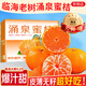 京地達浙江臨海涌泉蜜桔新鮮水果橘子桔子重9.2斤單果65mm源頭直發(fā)包郵