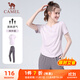 駱駝（CAMEL）戶(hù)外晨跑運動(dòng)服女休閑短袖兩件套裝 Y23BA0L6059C5 雪柔紫 XL