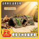 SMVP魚(yú)缸造景樹(shù)脂躲避洞穴仿真樹(shù)皮洞魚(yú)蝦烏龜兩棲爬寵爬蟲(chóng)躲避屋 仿真樹(shù)皮-躲避洞