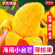 京地達海南小臺芒果凈重5斤單果100g小芒果新鮮水果源頭直發(fā)包郵