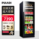 普拉蒂（PULADI）變頻一級能效大容量冰吧客廳家用冷藏柜辦公室冰箱茶葉柜嵌入式恒溫紅酒柜保鮮商用展示柜別墅冰箱 【變頻｜JC168D】1.72米高 388升