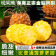 十里饞海南金鉆鳳梨當季水果手撕菠蘿香水新鮮小菠蘿整箱批發(fā) 2枚優(yōu)選裝 凈重2.5-3斤