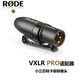 RODE 羅德麥克風(fēng)卡儂適配器VXLR Pro 3.5mm trs轉(zhuǎn)XLR轉(zhuǎn)接頭小三芯轉(zhuǎn)卡儂頭轉(zhuǎn)接頭音頻轉(zhuǎn)換頭 VXLR PRO小三芯轉(zhuǎn)卡儂轉(zhuǎn)接頭