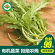 小湯山 有機蒿子稈 約250g 有機蔬菜基地種植當天采摘