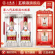 五糧液（WULIANGYE）第八代五糧液 濃香型白酒 52度 純糧名酒 禮盒裝 紀念品 52%vol 500mL 2瓶