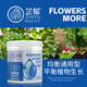 芷郁花多多1號2號10號官方旗艦店官網(wǎng)花肥家用蘭花月季盆栽通用水溶肥