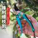 張小泉園藝剪枝剪刀修枝剪果樹(shù)園林花藝剪子工具修剪粗樹(shù)枝剪刀強力家用 百年品牌【春悅·潤系列整枝剪/185mm】