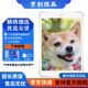Apple蘋(píng)果 iPad Air1/Air2/Air3 迷你mini2/4/5 二手平板電腦ipad iPad Air1 16G WiFi版 9成新