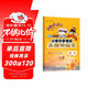 黃岡小狀元小升初真題卷語(yǔ)文2024春全國(guó)100所名校小學(xué)升學(xué)考試沖刺真題卷語(yǔ)文通用版