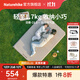 Naturehike挪客羽骨C6.5自動(dòng)充氣墊露營(yíng)野餐午睡家用睡墊戶(hù)外野營(yíng)充氣床墊子 雙人標準/200×132×6.5cm/