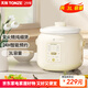 天際（TONZE）電燉鍋 煲湯鍋 多功能陶瓷電煮鍋煲湯滋補養生鍋 家用全自動(dòng)熬粥鍋2-4人L升5用智能預約慢燉鍋 【全新升級-按鍵款】 3L