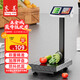 東美（Dongmei）充電臺秤電子秤商用高精度落地賣(mài)菜電子稱(chēng)貨物磅秤計價(jià)大型工業(yè)用計數快遞秤