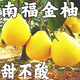柚滿(mǎn)園【純甜不酸】梅州沙田柚子南福金柚正宗特產(chǎn)甜碌柚新鮮水果廣東 大果4-5個(gè)帶箱9-10斤