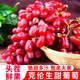大涼山西昌克倫生無(wú)籽紅提新鮮應季孕婦水果脆甜葡萄整串純甜提子 凈果3斤 JD/順豐快遞送貨上門(mén)
