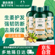 美體小鋪（The Body Shop）生姜洗發(fā)水400ml*3洗頭膏去屑控油防脫英國進(jìn)口