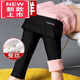 東方鴨蠶絲棉褲女外穿冬季新款加絨高腰小腳女防寒打底保暖褲顯瘦松緊腰 800克外穿蠶絲棉褲  加厚 2XL 適合133-148斤