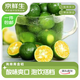 京鮮生 海南青金桔小金桔2斤裝 單果7-14g 小青桔生鮮水果源頭直發(fā)包郵