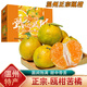 桃西村浙江溫州甌柑 麗水特產(chǎn)苦橘子苦桔椪柑黃果柑歐柑桔現摘新鮮水果 5斤 精選小果【約6-7個(gè)/斤】