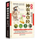 中醫入門(mén)中醫藥學(xué)中藥材百科書(shū)籍 圖解神農本草經(jīng)