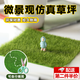 花音谷草皮手工草坪仿真草皮微景觀(guān)小擺件仿真苔蘚迷你花園裝飾diy材料 【15cm*15cm】1片裝