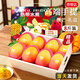 京地達海南澳芒果禮盒 凈重8斤單果500g 大芒果新鮮當季源頭直發(fā)包郵