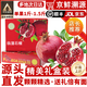 酷奇象 正宗陜西臨潼軟籽石榴【順豐速運(yùn)】紅寶石新鮮水果中秋送禮品盒 5斤 凈重實(shí)惠家庭裝 單果5-8兩 【順豐包郵】產(chǎn)地直發(fā)